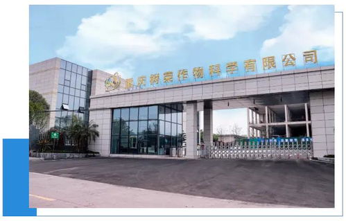 全智能引领未来 重庆树荣长寿区新工厂与科技中心投产纪实