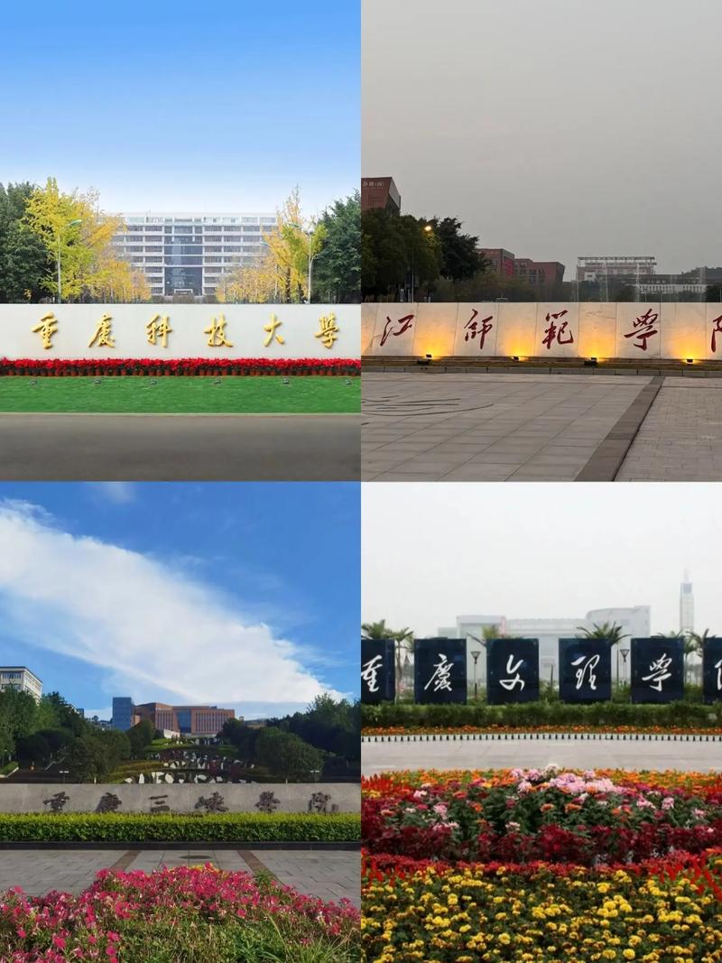 重庆科技大学 山城创新的引擎，科技转化的桥梁